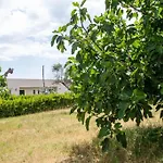 Li Fichi Alezio/gallipoli 4*