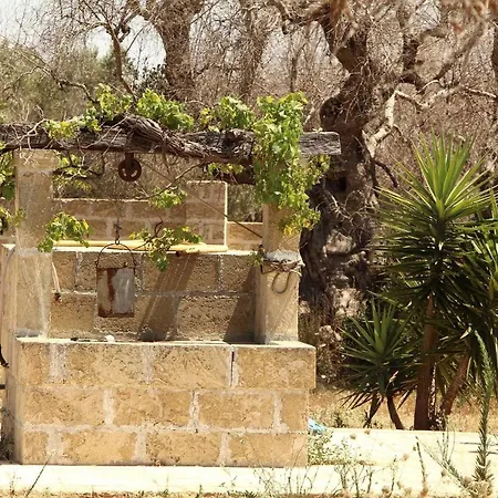 فندق مبيت وإفطار Li Fichi Alezio/gallipoli أليزيو